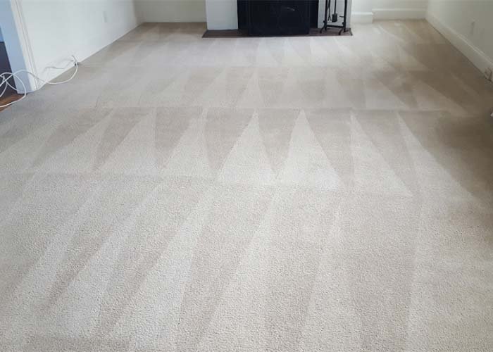 steam carpet cleaning in Canton by professional CT carpet cleaners