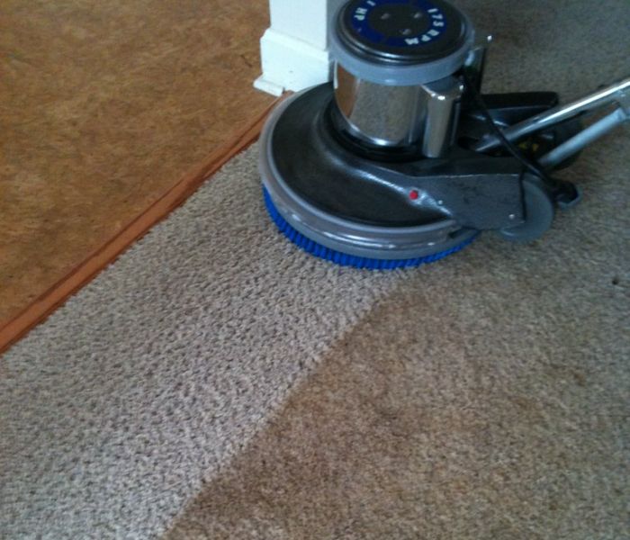 when should carpet be replaced or cleaned